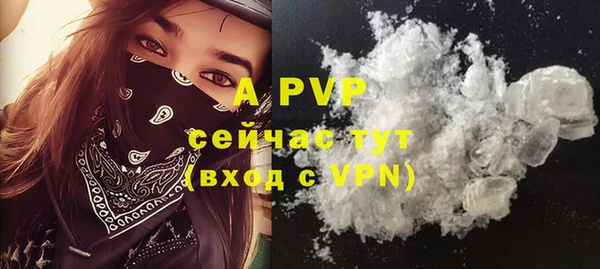 apvp Белокуриха