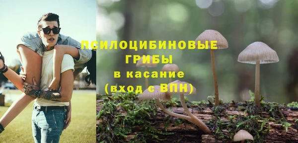 apvp Белокуриха