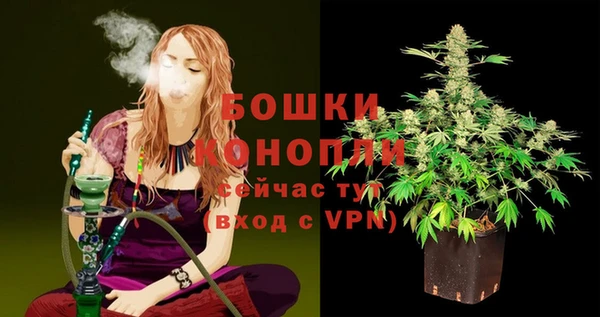apvp Белокуриха