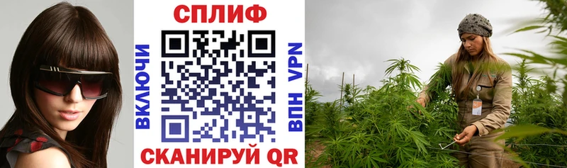 купить   Волоколамск  Бошки Шишки THC 21% 